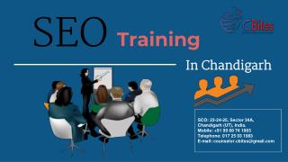 SEO Training in Chandigarh