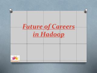 Future of Careers in Hadoop