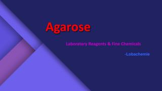 Agarose by Lobachemie