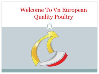 gà Châu Âu - vn.european-quality-poultry.eu