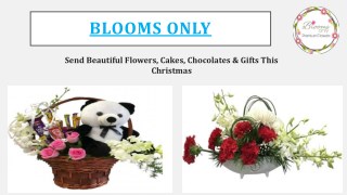 Order Beautiful Flowers, Cakes, Chocolates & Gifts This Christmas in Pune – Blooms Only