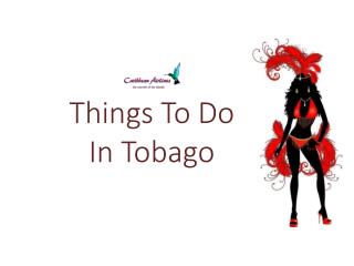 Things To Do In Tobago