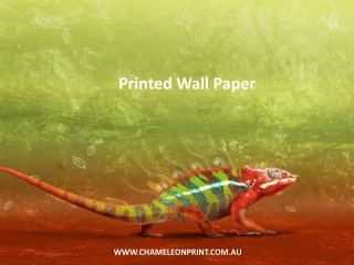 Printed Wall Paper - Chameleon Print Group