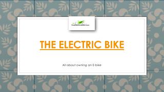 The Electric Bike