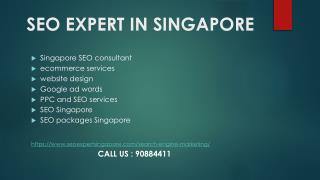 SEO Expert Services Singapore Best SEO Company in Singapore