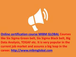 The future must look for suitable online certification course MIBM GLOBAL