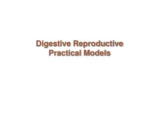 Digestive Reproductive Practical Models