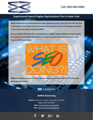 Experienced Search Engine Optimization Firm in New York