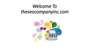 seo company in india