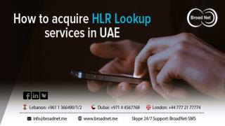 How to acquire HLR Lookup services in UAE