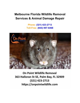 Melbourne Florida Wildlife Removal Services