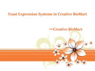 Yeast Expression in Creative BioMart