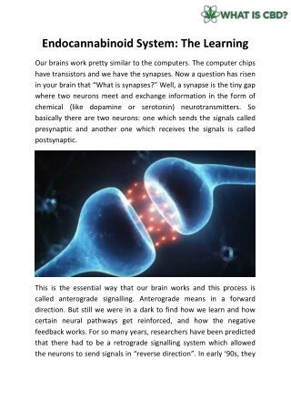 Endocannabinoid System: The Learning