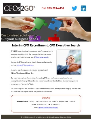 Interim CFO Recruitment, CFO Executive Search