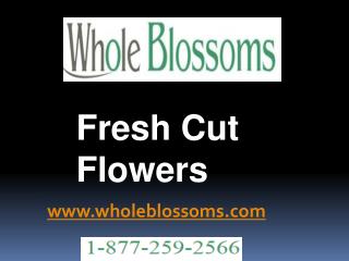 Fresh Cut Flowers - www.wholeblossoms.com