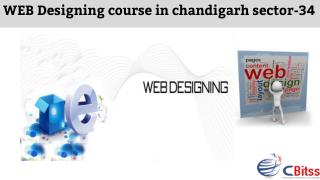 WEB Designing course in chandigarh sector-34