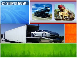 Best Reviewed of Vehicle Shipping Transportation