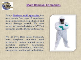 Mold treatment companies