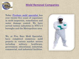 Sources of mold