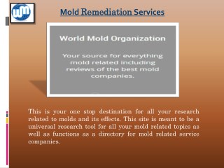 Mold cleaning tips