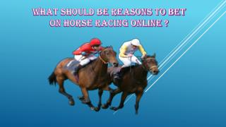 What Should Be Reasons to Bet On Horse Racing Online ?