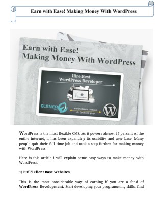 How to Make Money With WordPress: Tips From Wordpress Developers