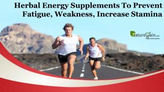 Herbal Energy Supplements to Prevent Fatigue, Weakness, Increase Stamina