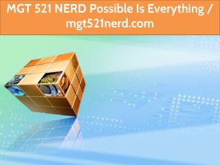 MGT 521 NERD Possible Is Everything / mgt521nerd.com