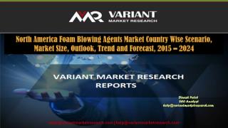 North America Foam Blowing Agents Market Country Wise Scenario, Market Size, Outlook, Trend and Forecast, 2015 – 2024