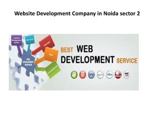 Website Development Company in Noida sector 2