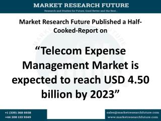 Telecom Expense Management Market forecasts and analysis to 2023