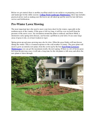 How to Prepare Your Lawn for Winter
