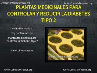 Plantas Medicinales para Controlar y Reducir la Diabetes Tipo 2