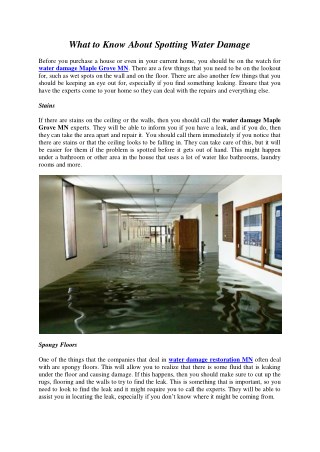 What to Know About Spotting Water Damage