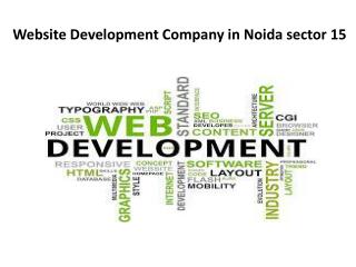 Website Development Company in Noida sector 15