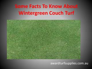 Some Facts To Know About Wintergreen Couch Turf