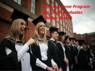 Online Degree Program for Undergraduates Management degree programme MIBM GLOBAL