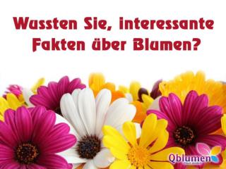 Die meisten erstaunliche Fakten über Blumen