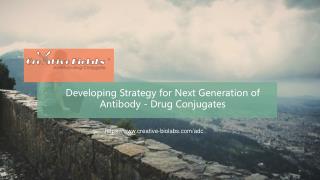 Developing Strategy for Next Generation of Antibody - Drug Conjugates