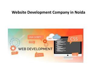 Website Development Company in Noida