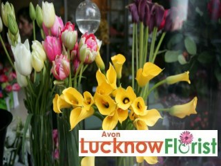 Florist Lucknow