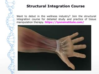 Cranial Sacral Therapy