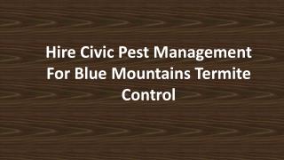 Hire Civic Pest Management For Blue Mountains Termite Control