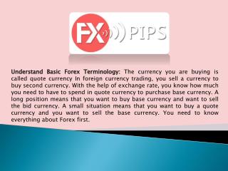 How To Start Forex Trading With The Help Of Consultant