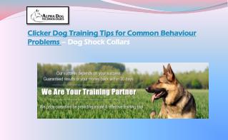 Clicker dog training tips for common behaviour problems – dog shock collars