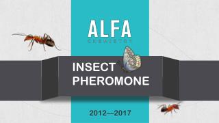 Insect Pheromone