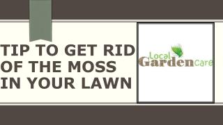 Tip to Get Rid of the Moss in Your Lawn