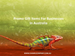 Promo Gift Items For Businesses In Australia