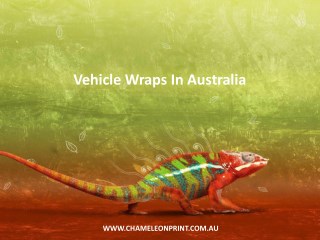 Vehicle Wraps In Australia