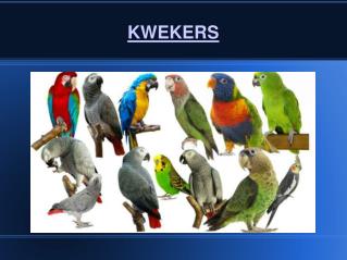 Kwekers